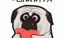 冷静吃瓜的图片,揭秘网络舆论背后的真相